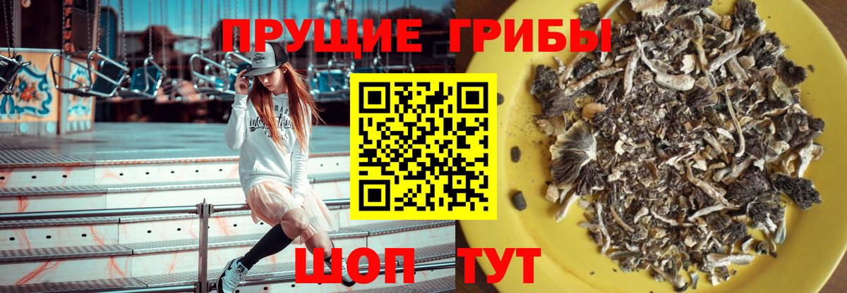 Мелеуз  Галлюциногенные грибы Psilocybine cubensis  Вход с VPN  Галлюциногенные грибы GOLDEN TEACHER 