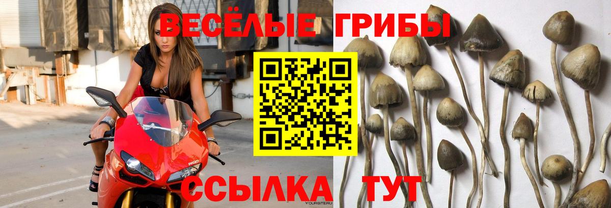 Галлюциногенные грибы MAGIC MUSHROOMS Мелеуз